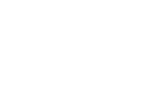 wild icon 1